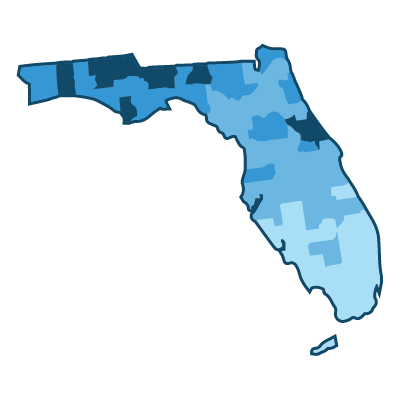 Demographics by County: 1 State