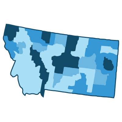 Demographics by County: 1 State