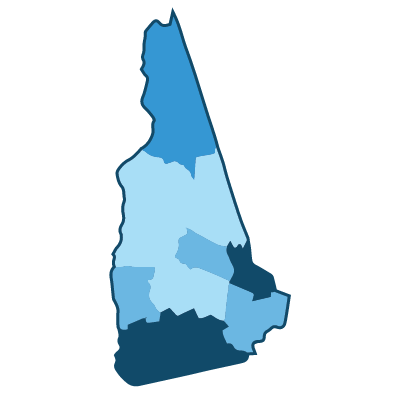 Demographics by County: 1 State