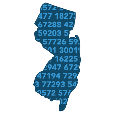 Demographics by Zip Code/ZCTA: 1 State