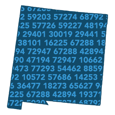 Income By Zip Code List: One State