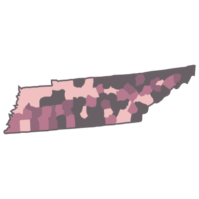 Map - Income By Zip Code: One State